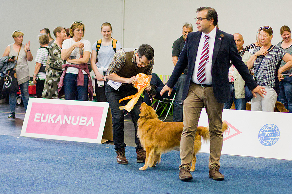 Edison wird bester Rüde und freut sich mit Stephan über die große Schleife, die er gerade vom Richter bekommen hat