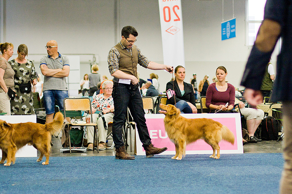 Edison steht in der Championklasse vor Stephan und lächelt ihn an