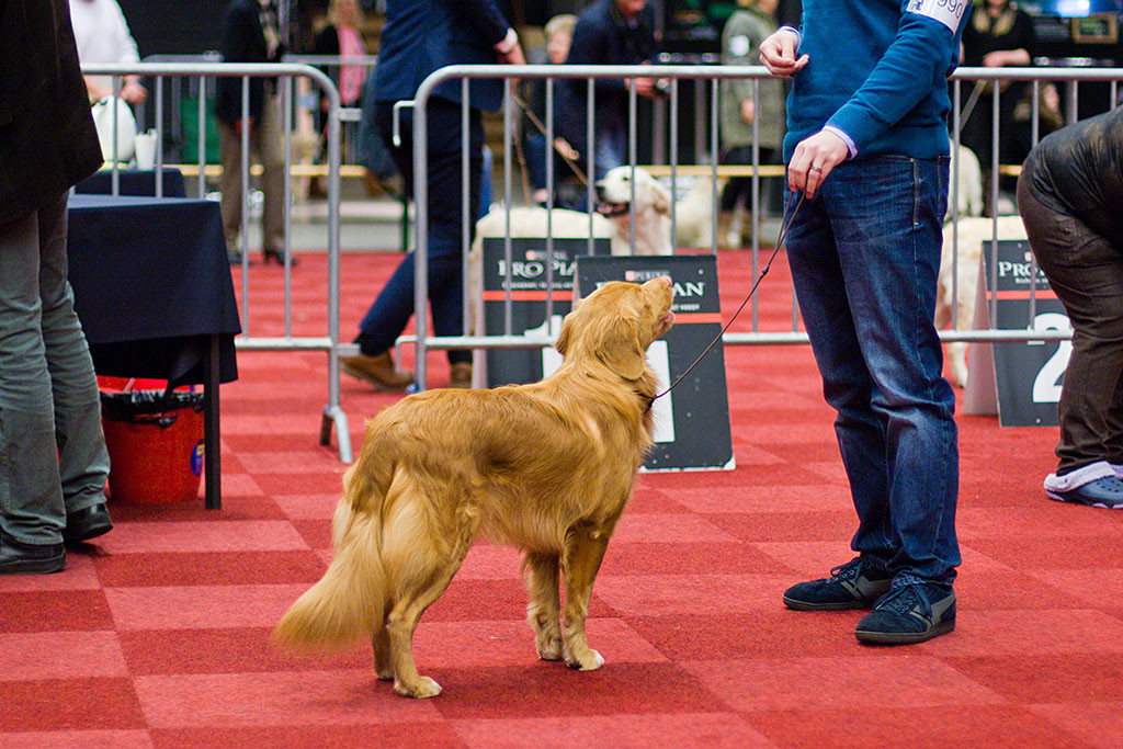 Edison steht für die Beurteilung