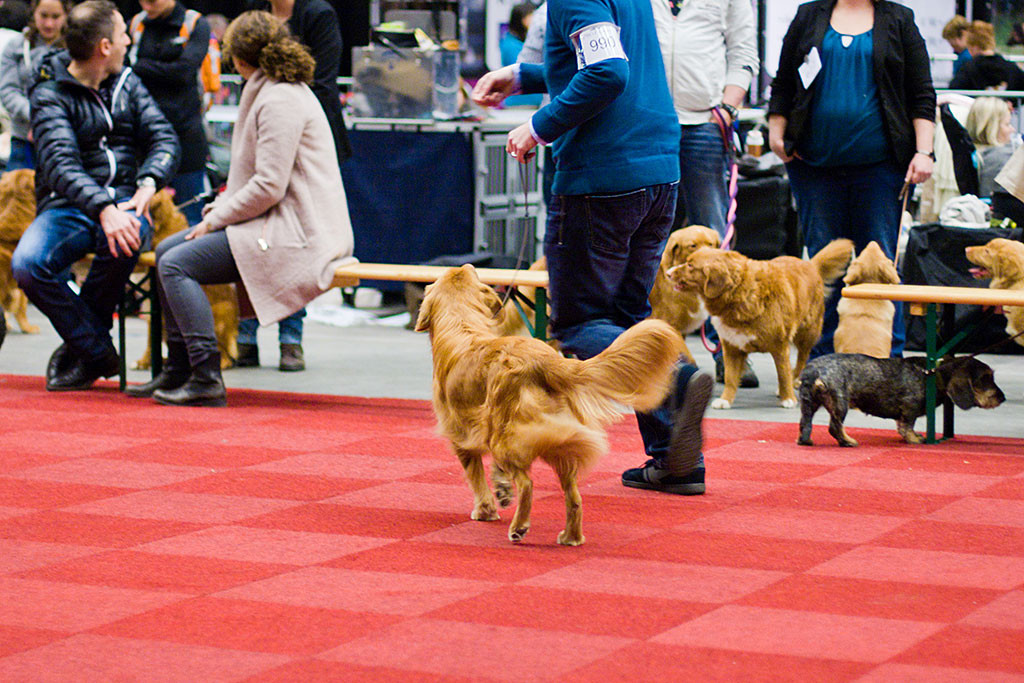 Edison läuft mit Stephan eine abschließende Runde Teil 1