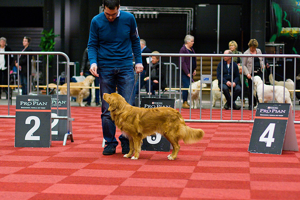 Edison steht vor Stephan im Ring