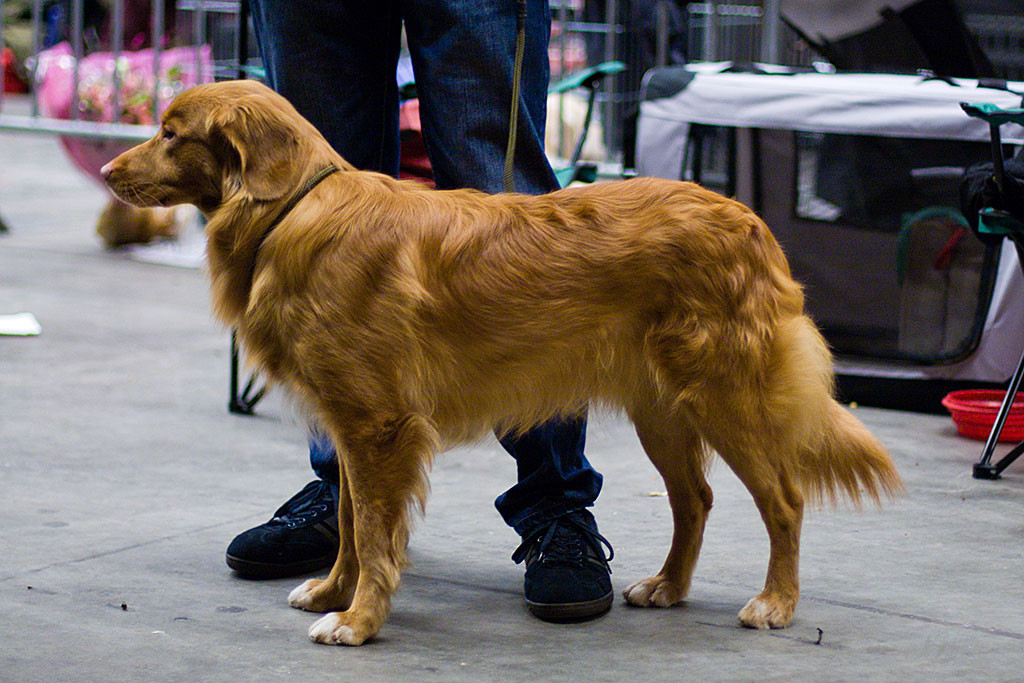 Edison steht vor Stephan kurz bevor es nach Hause geht
