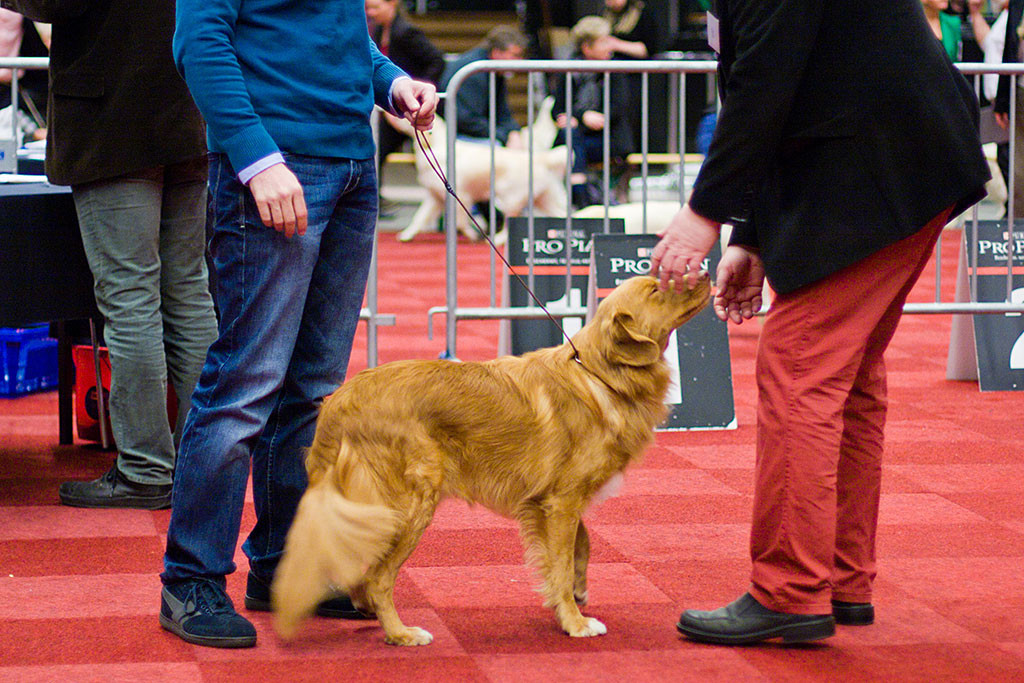 Edison wird von Arne Foss abgetastet