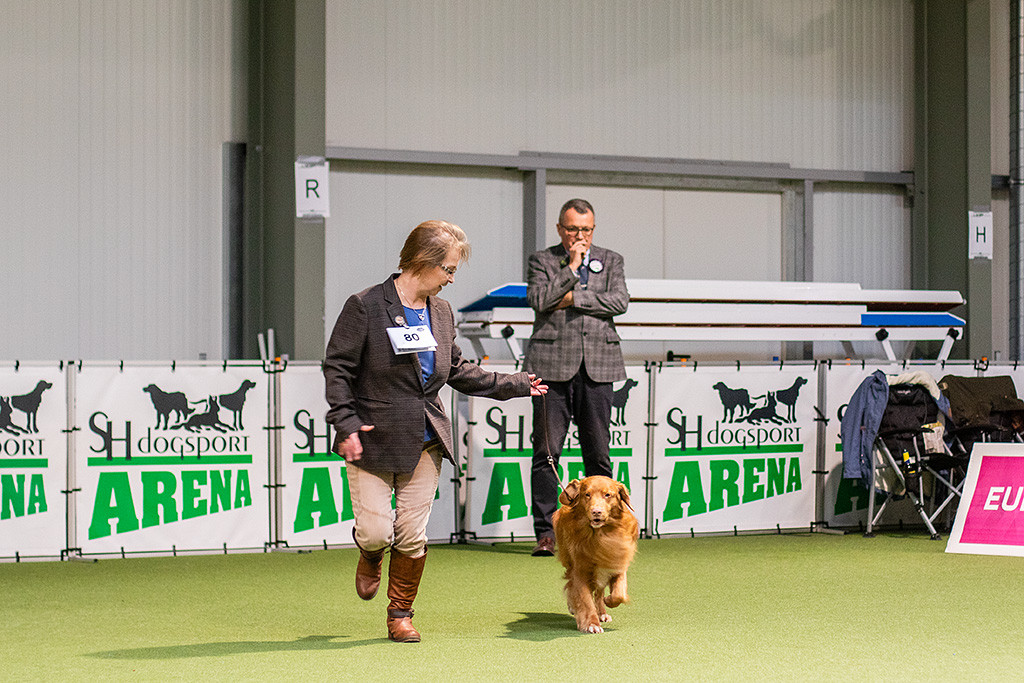 Edison läuft an der Seite von Birgit auf der Geraden vom Richter weg