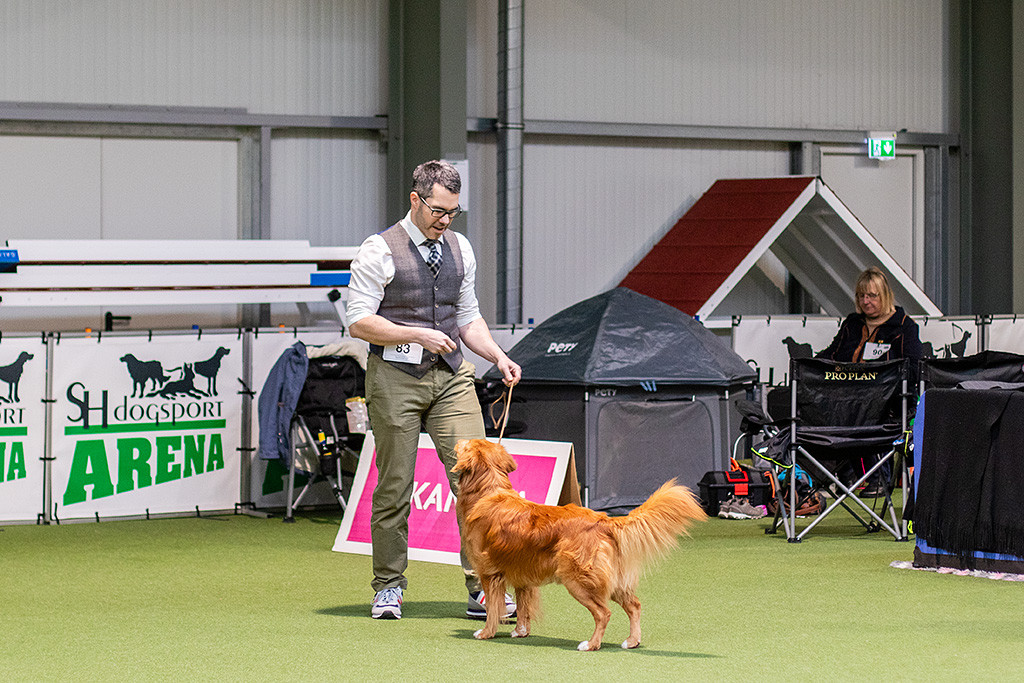 Newton steht wie eine Eins mit erhobener Rute frontal vor Stephan