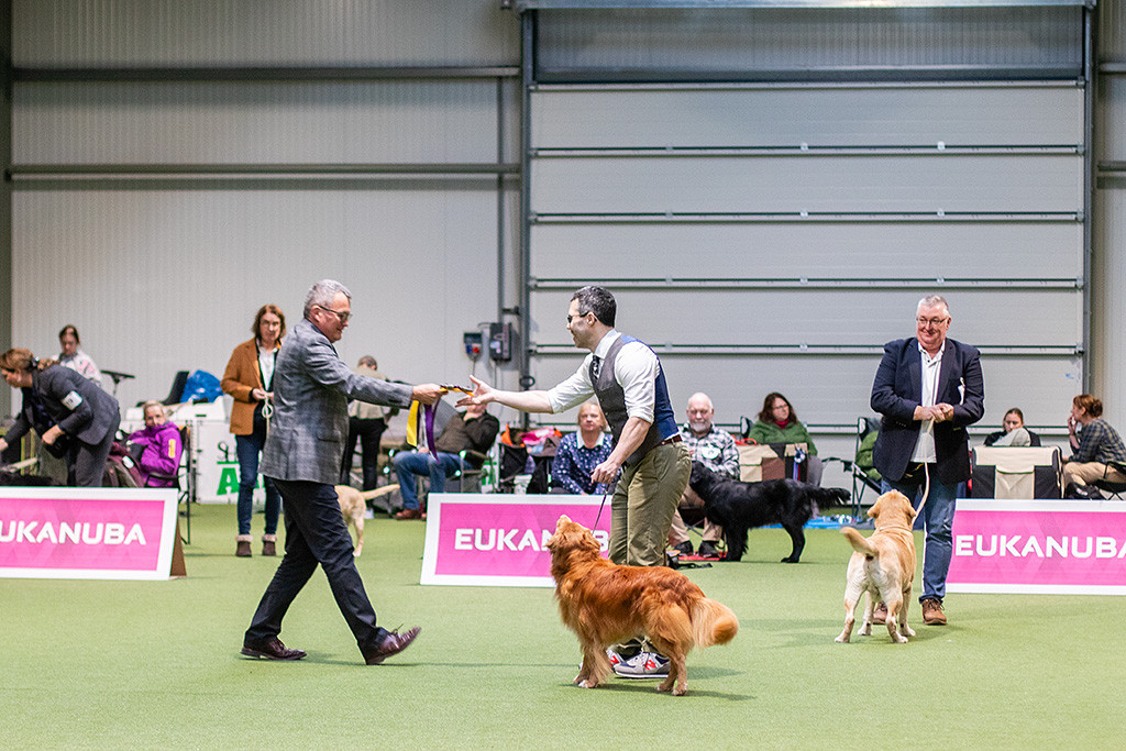 Edison schaut hoch zu Stephan, der die Siegerschleife vom Richter entgegennimmt
