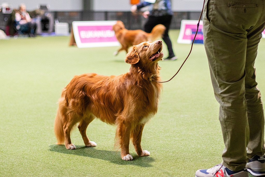 Newton steht in perfekter Positur frontal vor Stephan und schaut dabei lächelnd zu ihm hoch