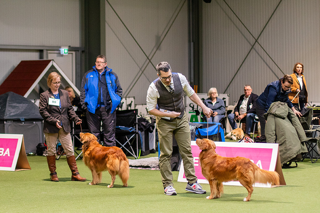Edison steht mit Birgit und Newton mit Stephan zusammen im Ring