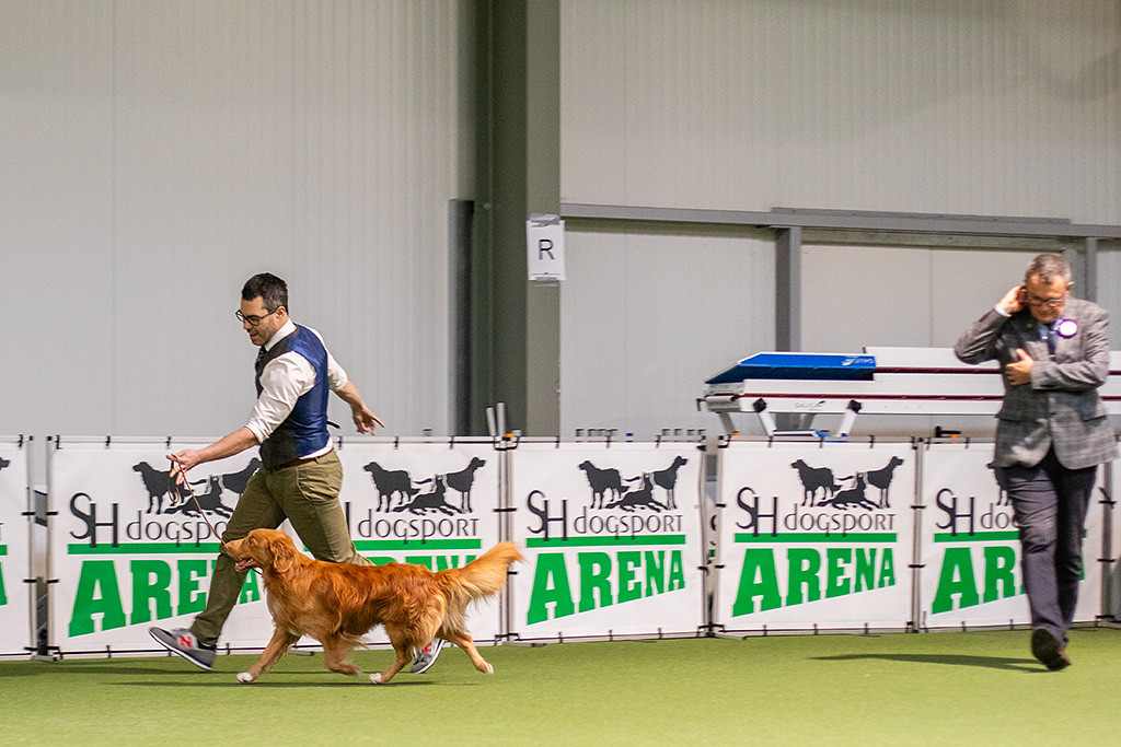 Newton fliegt an Stephans Seite durch den Ring und hat dabei keine Füße am Boden