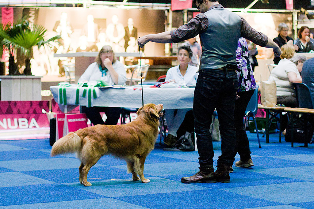 Edison steht geführt von Stephan vor der Richterin