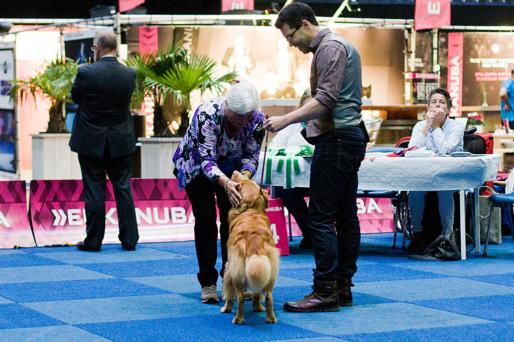 Edison wird von der Richterin begutachtet, die sich seinen Kopf anschaut, Stephan steht daneben