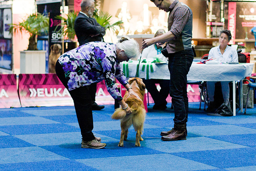 Edison wird von der Richterin begutachtet, die seine Rute in die Mangel nimmt, Stephan steht daneben