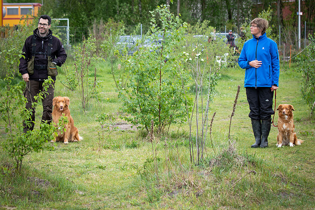 Edison an der Seite von Stephan und Frieda an der Seite von Sigrid in der Team-Aufgabe