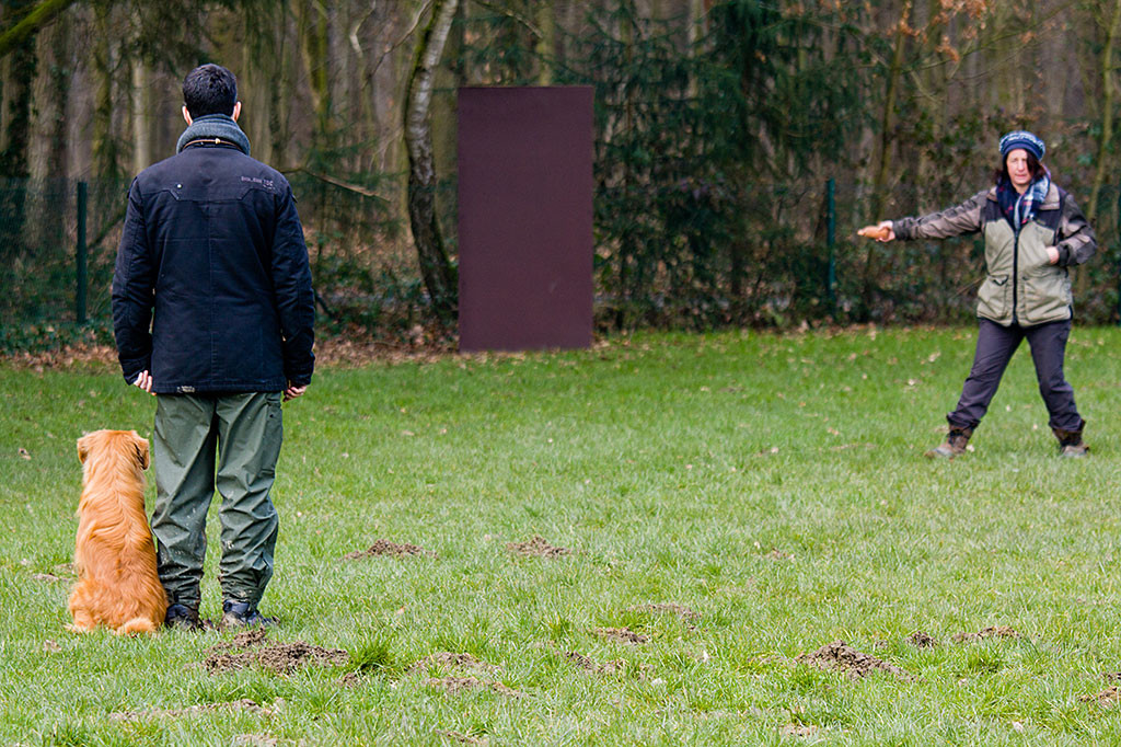 Nicole übt mit uns das Voran und zeigt an, dass gleich ein Dummy fallen gelassen wird