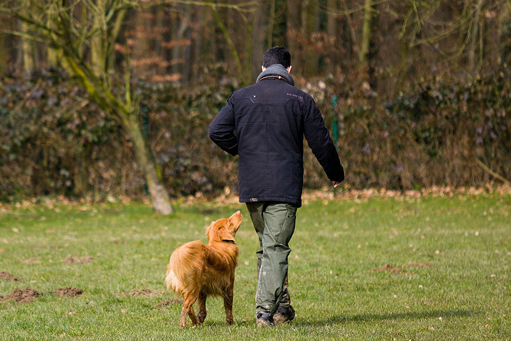 Edison läuft mit Stephan nochmal zur Ablageposition