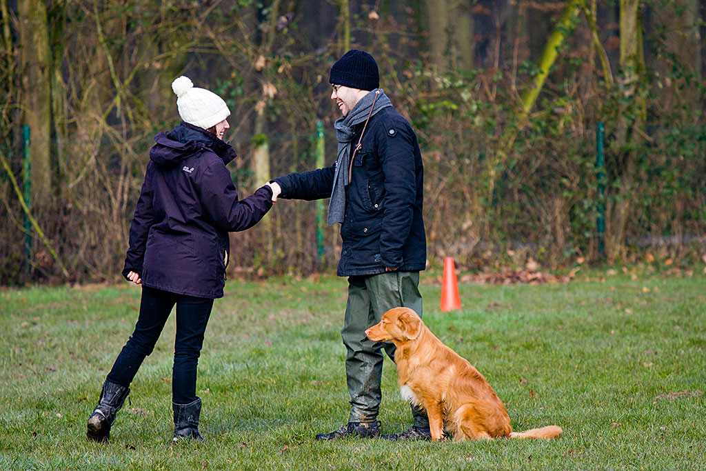 Edison bleibt sitzen während Lisa Stephan mit Handschlag begrüßt