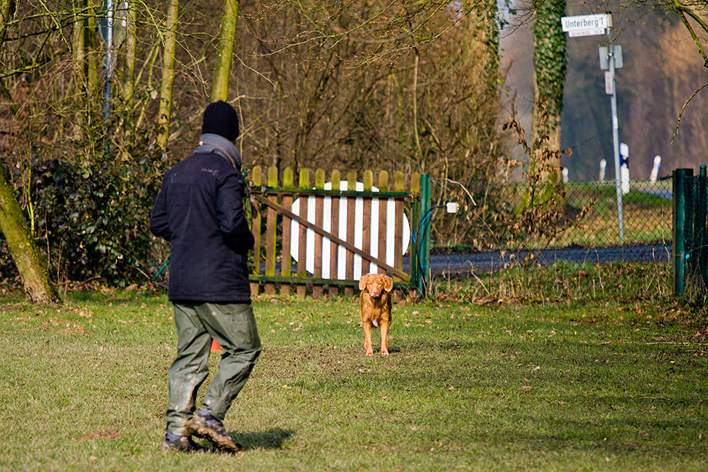 Edison steht aus der Ablage auf