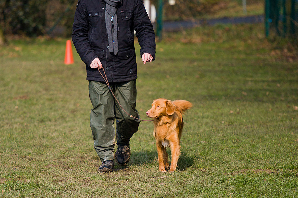 Edison läuft stolz wie Oskar neben Stephan her