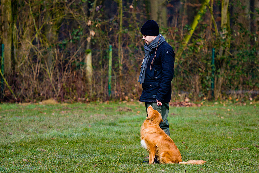 Edison sitzt an Stephans linker Seite und schaut zu ihm hoch