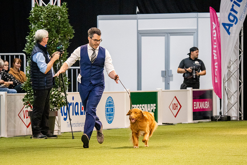 Edison fliegt an Stephans Seite durch den Ring