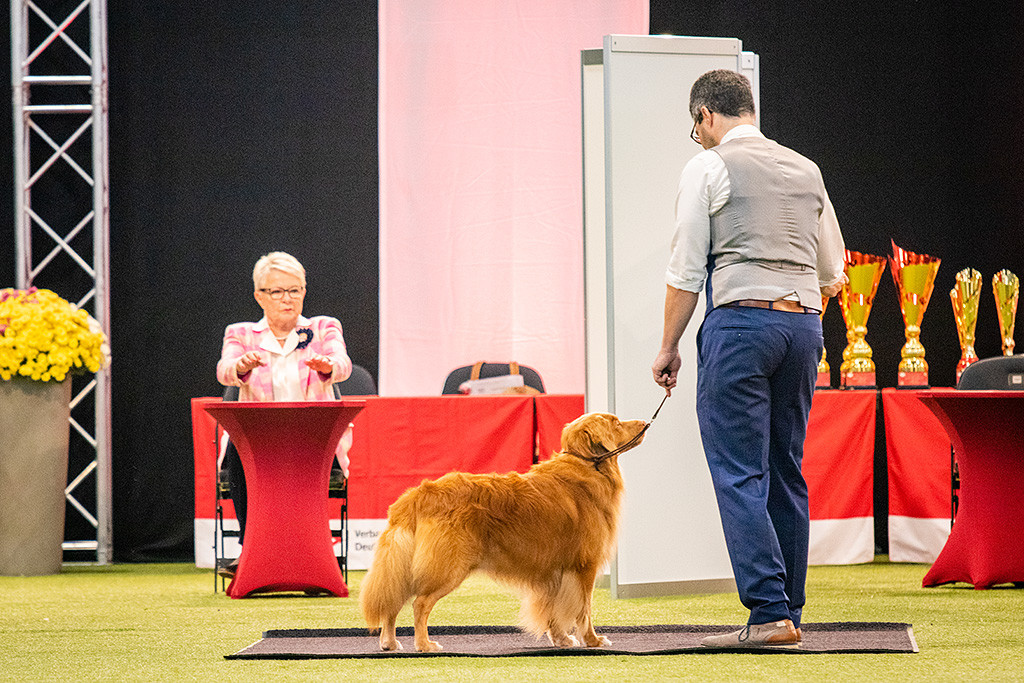Edison steht an Stephans Seite vor der finnischen Richterin