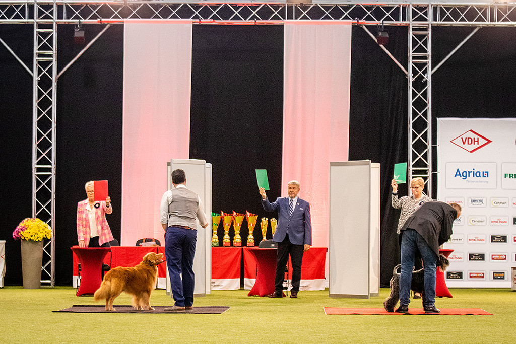 Edison steht vor den Richtern, die mit zwei zu eins für ihn stimmen