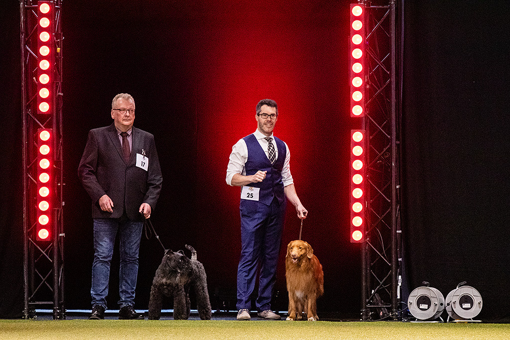 Edison wartet neben dem Kerry Blue Terrier am Eingang des Rings, dass sie reinlaufen dürfen