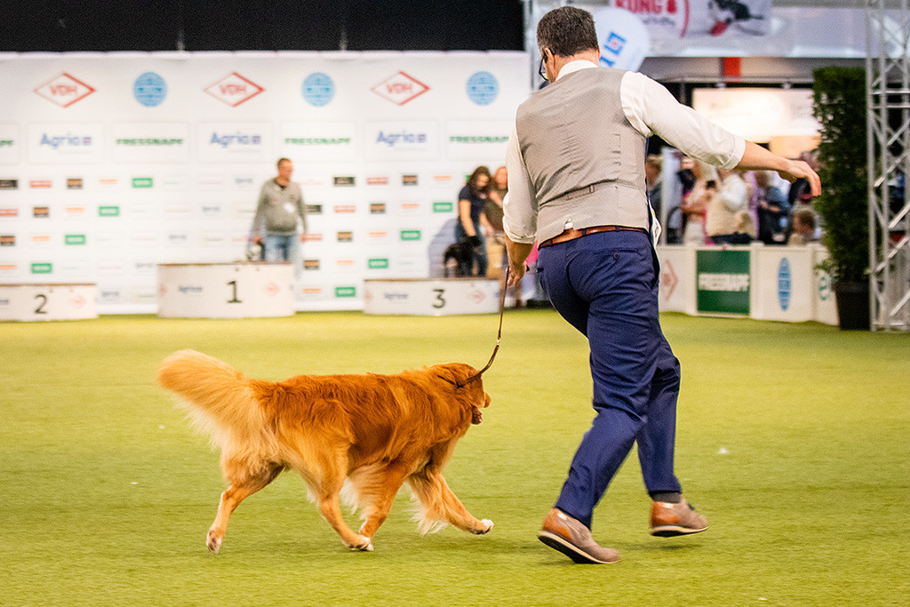 Edison läuft an Stephans Seite in perfekter Kurvenlage durch den Ring
