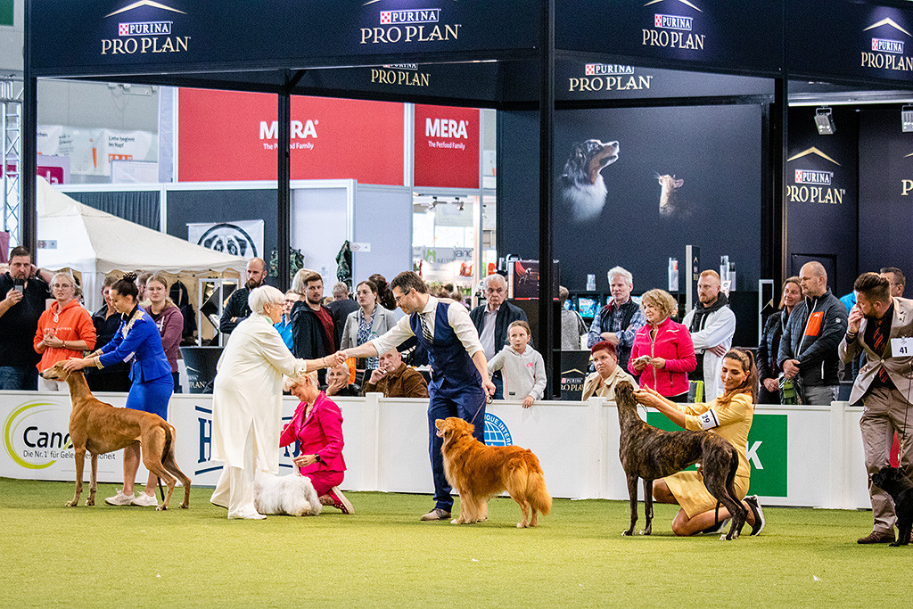 Richterin Hassi Assenmacher-Feyel bedankt sich per Handschlag bei Stephan