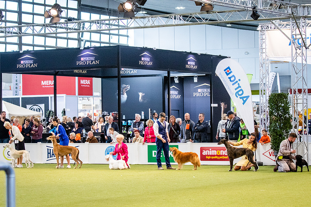 Edison steht im Lineup mit fünf weiteren Finalteilnehmern