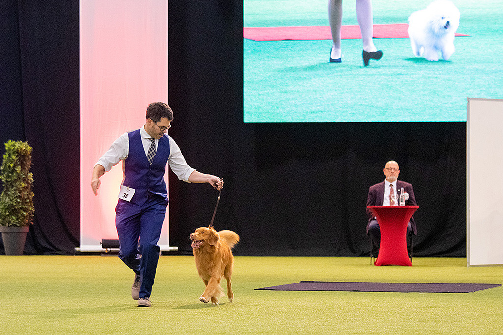 Edison läuft an Stephans Seite auf der Geraden weg von den Richtern