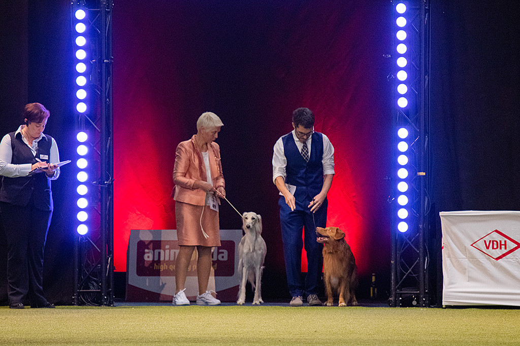 Edison steht zusammen mit dem Saluki am Eingang des Ehrenrings und flirtet dabei mit der Besitzerin des Salukis
