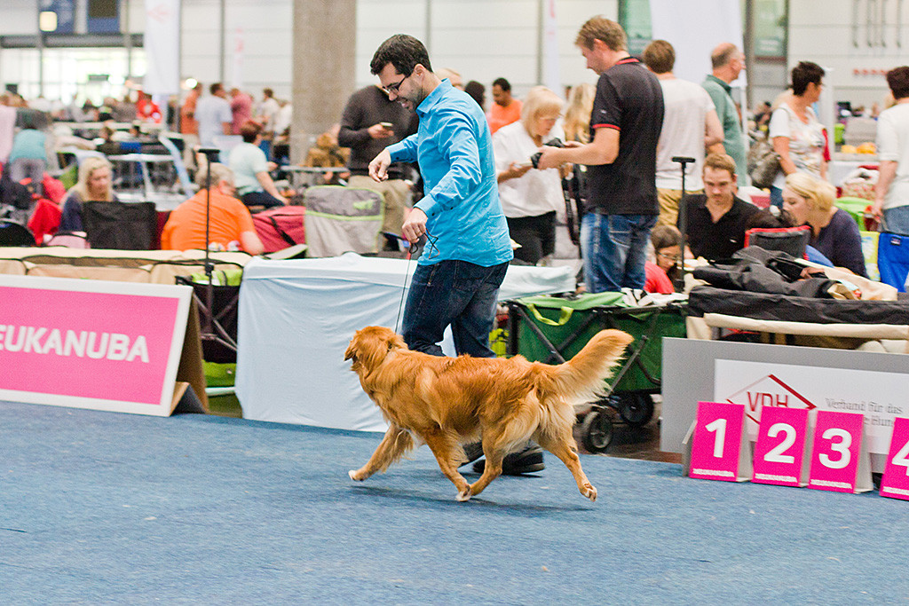 Stephan läuft mit Edison eine Kreisbahn