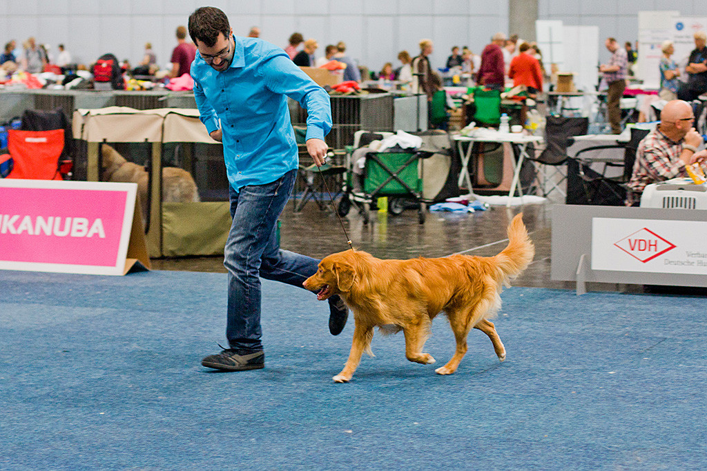 Stephan läuft mit Edison eine gerade Bahn