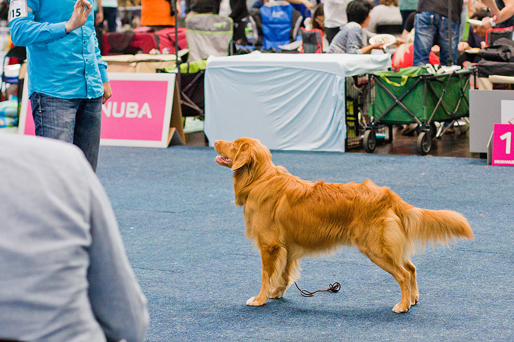 Edison steht in Pose, Stephan vor ihm zeigt an, dass er so bleiben soll