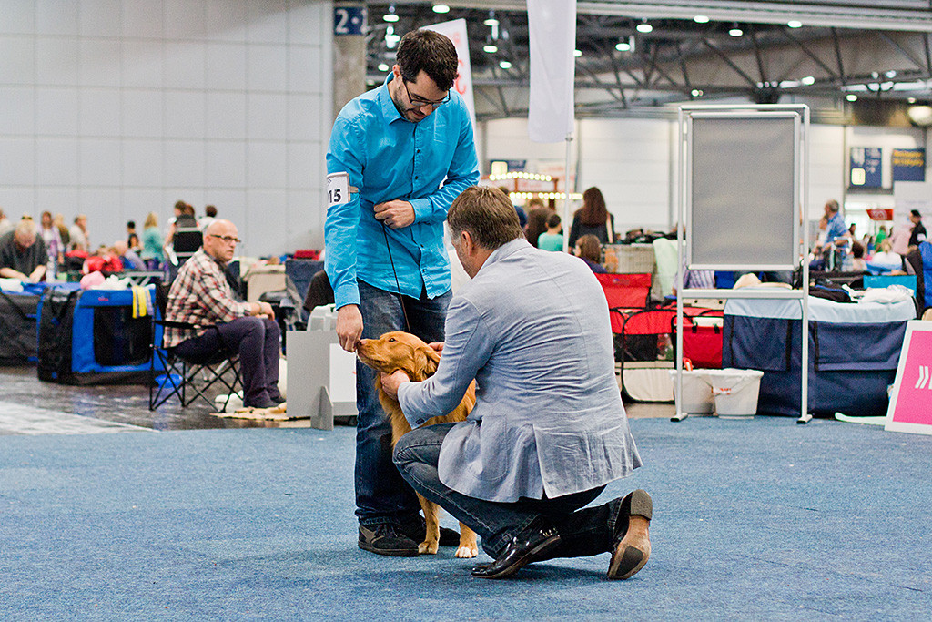 Edison lässt sich vom Richter abtasten während Stephan ihm ein Leckerchen vor die Nase hält