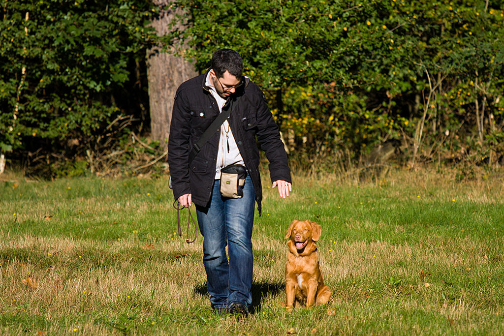 Edison wird von Stephan ins Sitz und Bleib gebracht