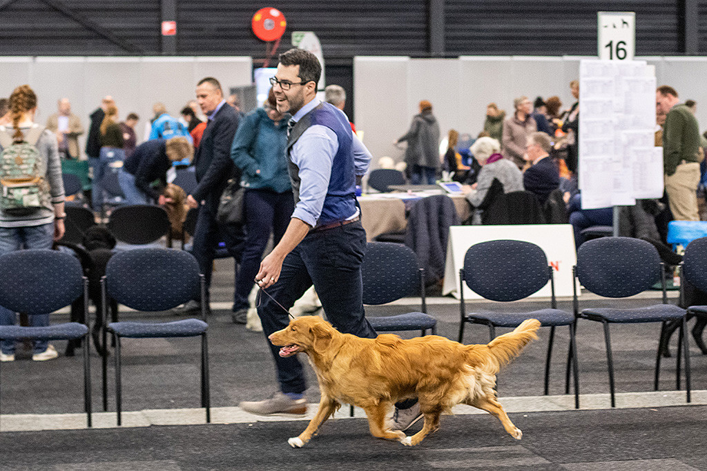 Newton läuft an Stephans Seite durch den Ring und hat keine Füße am Boden