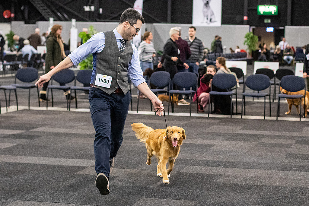 Newton fliegt förmlich geführt von Stephan auf der Geraden durch den Ring und lächelt dabei