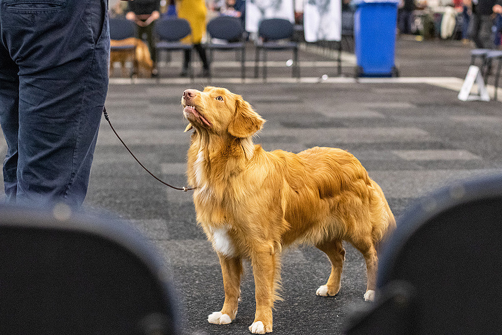 Newton steht frontal vor Stephan und zieht eine Grimasse