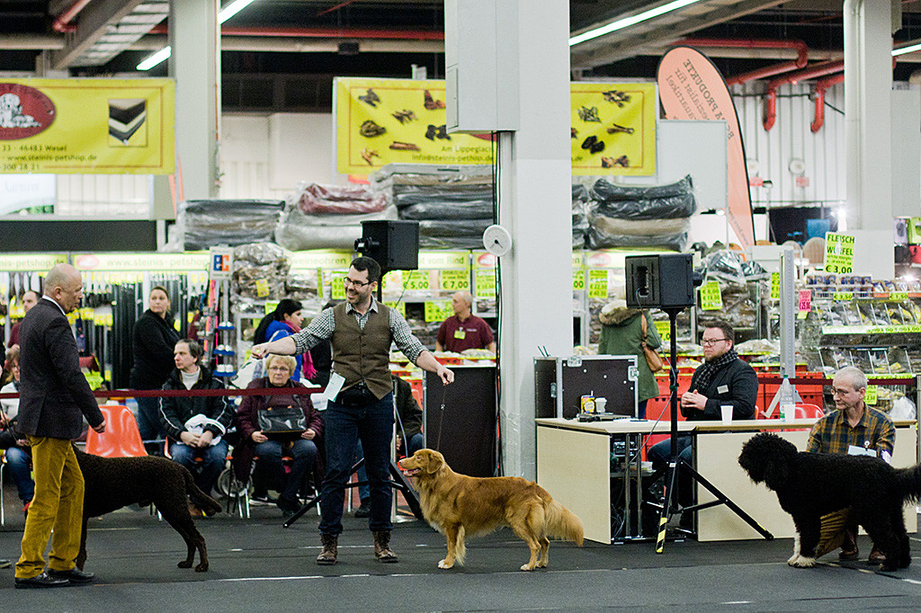 Edison lächelt an Stephans Seite den Richter im Ehrenring an