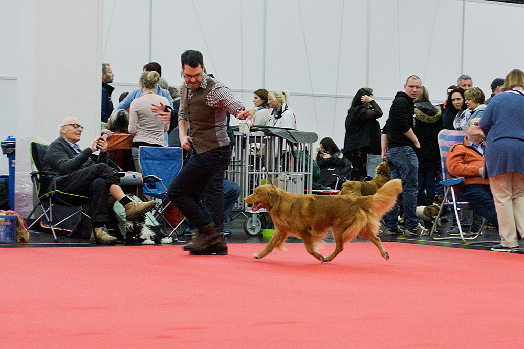 Edison läuft an Stephans Seite schwebend durch den Ring