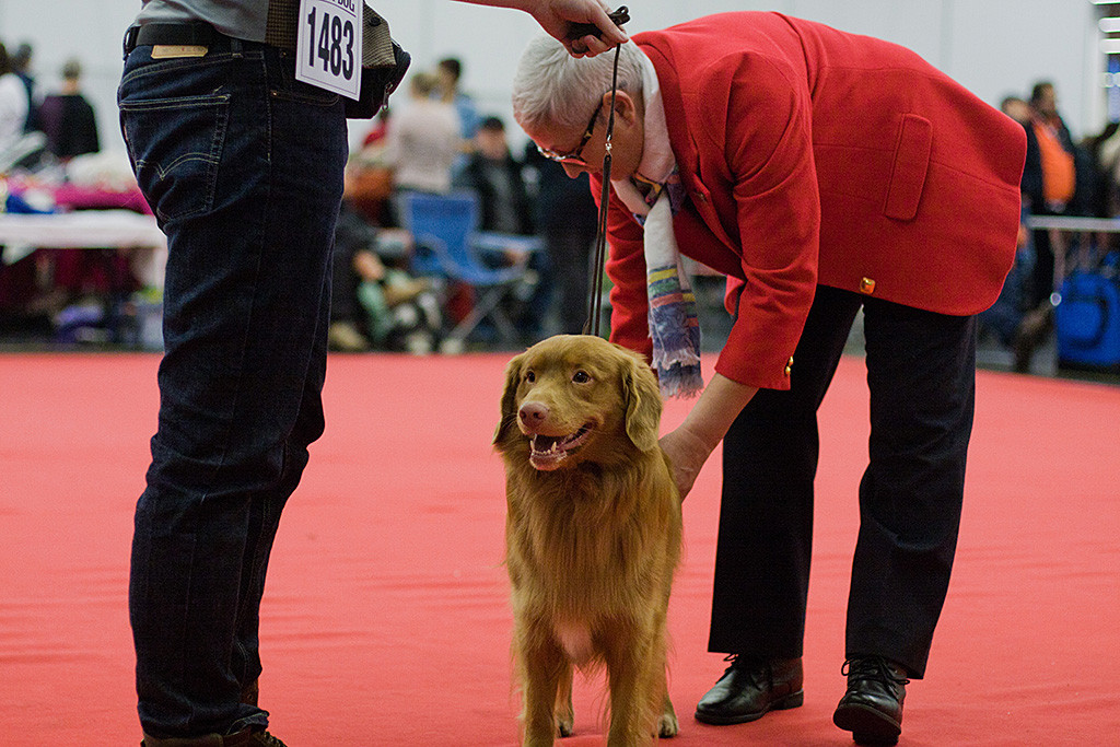 Edison lässt sich von der Richterin am Rücken abtasten und lächelt dabei