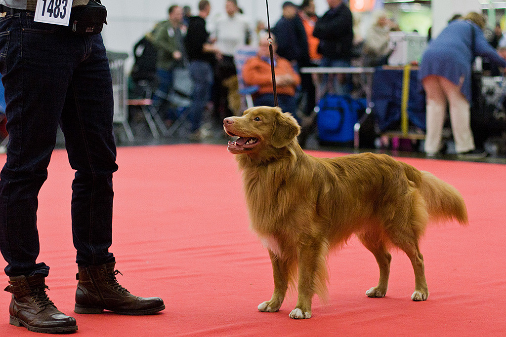 Edison steht vor Stephan in Pose und lächelt dabei