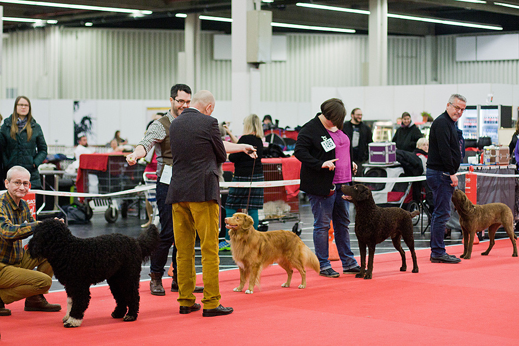 Edison steht an der Seite von Stephan im Vorring und wird vom Richter begutachtet