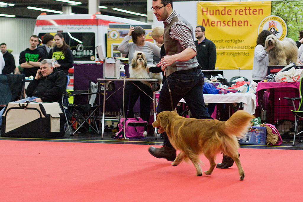 Edison läuft an der Seite von Stephan durch den Ring