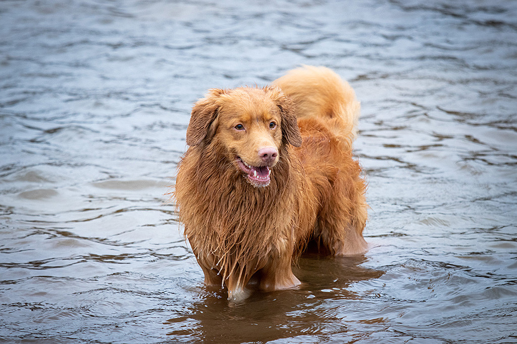 Edison lächelt über beide Ohren während er bis zum Bauch im Wasser steht