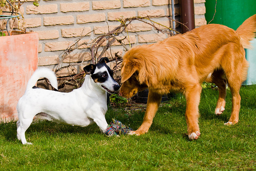 Nelli schaut Edison ganz tief in die Augen