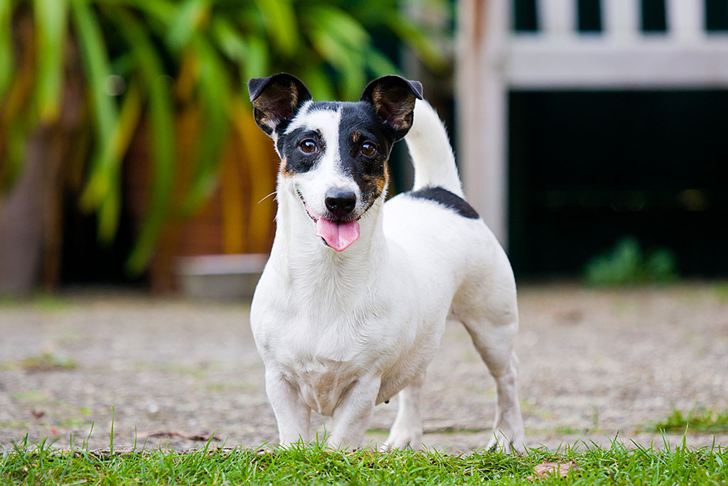 Nelli posiert stolz frontal in die Kamera