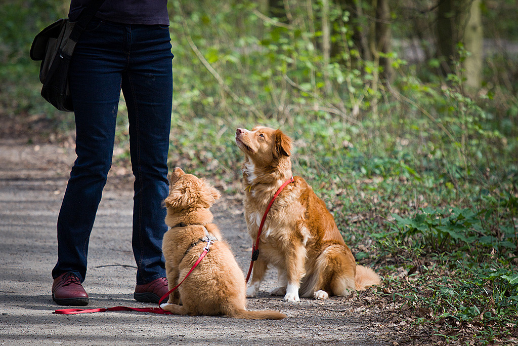 Benthe und Frieda sitzen beide vor Sigrid und schauen zu ihr hoch